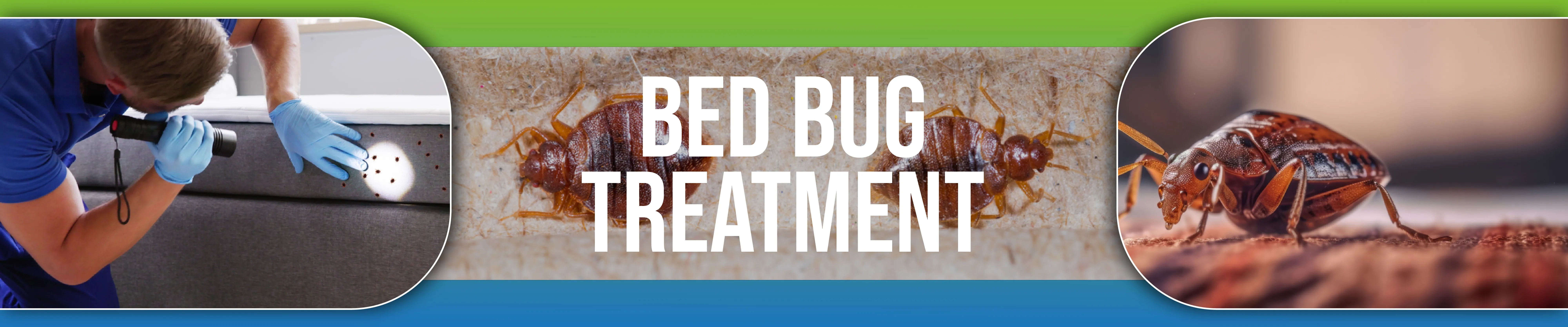 carpet cleaning in the Bronx, carpet cleaning in the Bronx, carpet cleaning the Bronx, carpet cleaners in the Bronx, carpet cleaners in the Bronx, commercial carpet cleaning, commercial carpet cleaning in the Bronx, the Bronx rug cleaners, rug cleaning services in the Bronx, same day carpet cleaning, same day rug cleaning