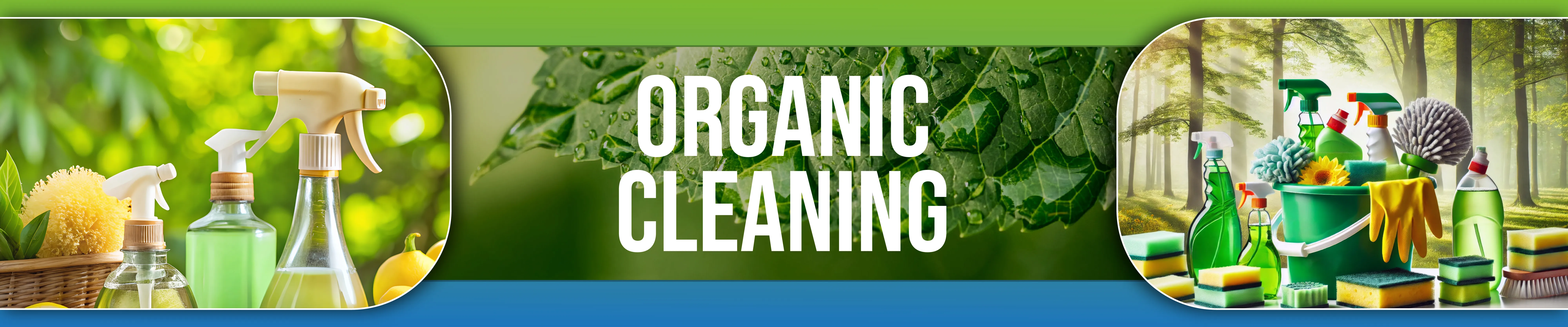 carpet cleaning in the Bronx, carpet cleaning in the Bronx, carpet cleaning the Bronx, carpet cleaners in the Bronx, carpet cleaners in the Bronx, commercial carpet cleaning, commercial carpet cleaning in the Bronx, the Bronx rug cleaners, rug cleaning services in the Bronx, same day carpet cleaning, same day rug cleaning