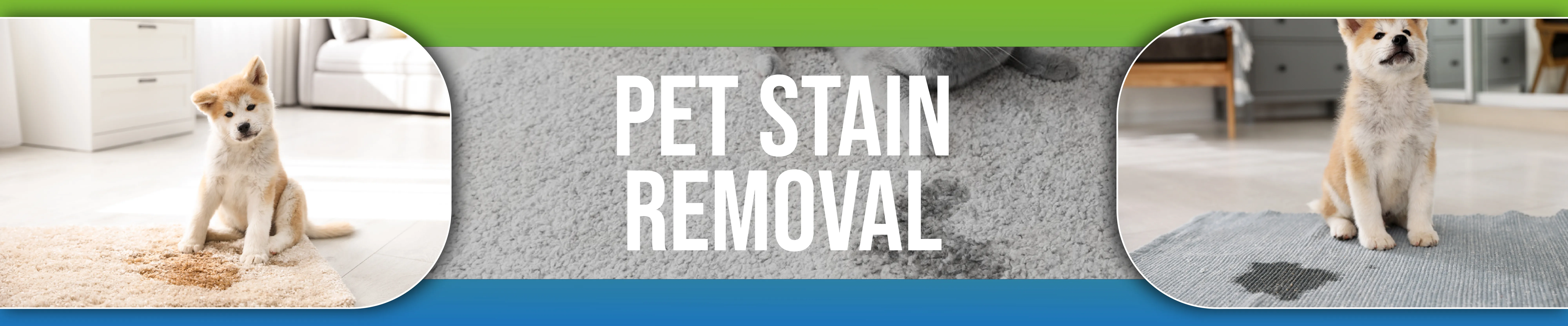 carpet cleaning in the Bronx, carpet cleaning in the Bronx, carpet cleaning the Bronx, carpet cleaners in the Bronx, carpet cleaners in the Bronx, commercial carpet cleaning, commercial carpet cleaning in the Bronx, the Bronx rug cleaners, rug cleaning services in the Bronx, same day carpet cleaning, same day rug cleaning