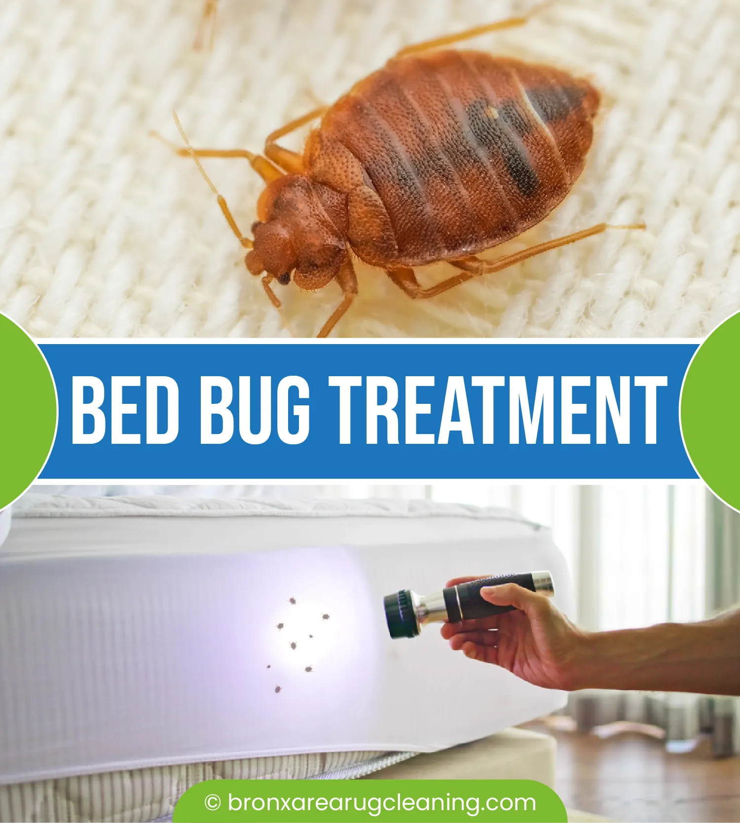 carpet cleaning in the Bronx, carpet cleaning in the Bronx, carpet cleaning the Bronx, carpet cleaners in the Bronx, carpet cleaners in the Bronx, commercial carpet cleaning, commercial carpet cleaning in the Bronx, the Bronx rug cleaners, rug cleaning services in the Bronx, same day carpet cleaning, same day rug cleaning